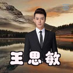 王思敏